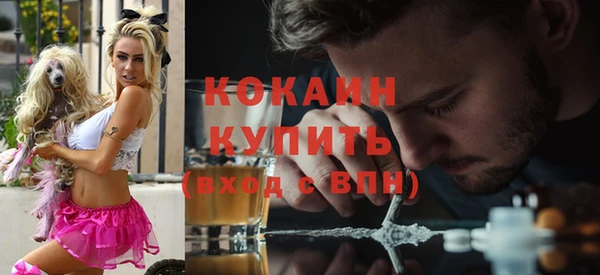 mdpv Белокуриха