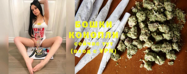 mdpv Белокуриха