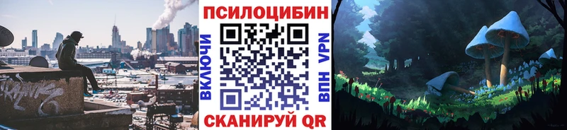 Псилоцибиновые грибы Cubensis  купить закладку  Славгород 